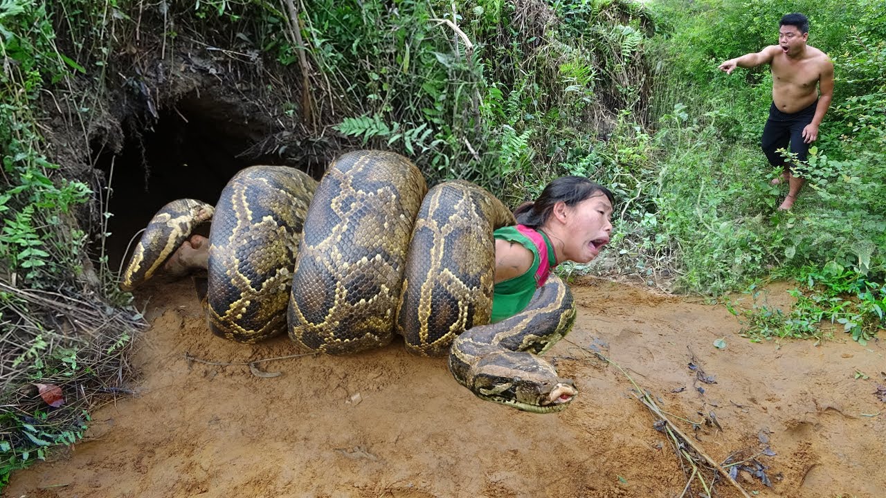 in a daring feat of fishing a brave girl catches a massive anaconda in a deep hole video 407932 2